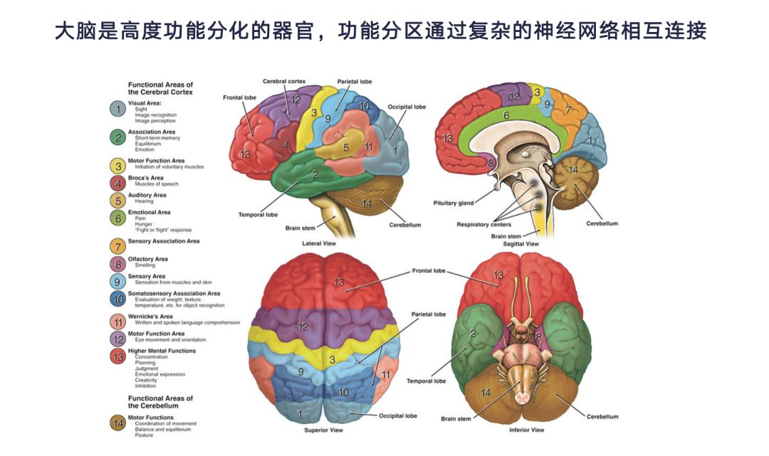 脑机接口和 AI,一个硬币的两面