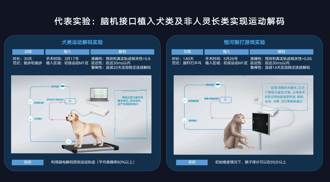 脑机接口和 AI,一个硬币的两面