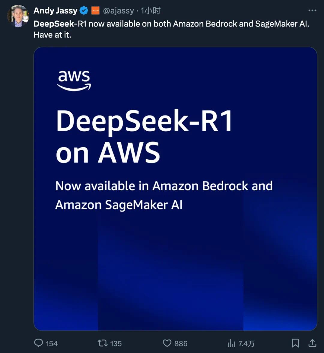 DeepSeek在美两重天:五大巨头接入,政府诚惶诚恐