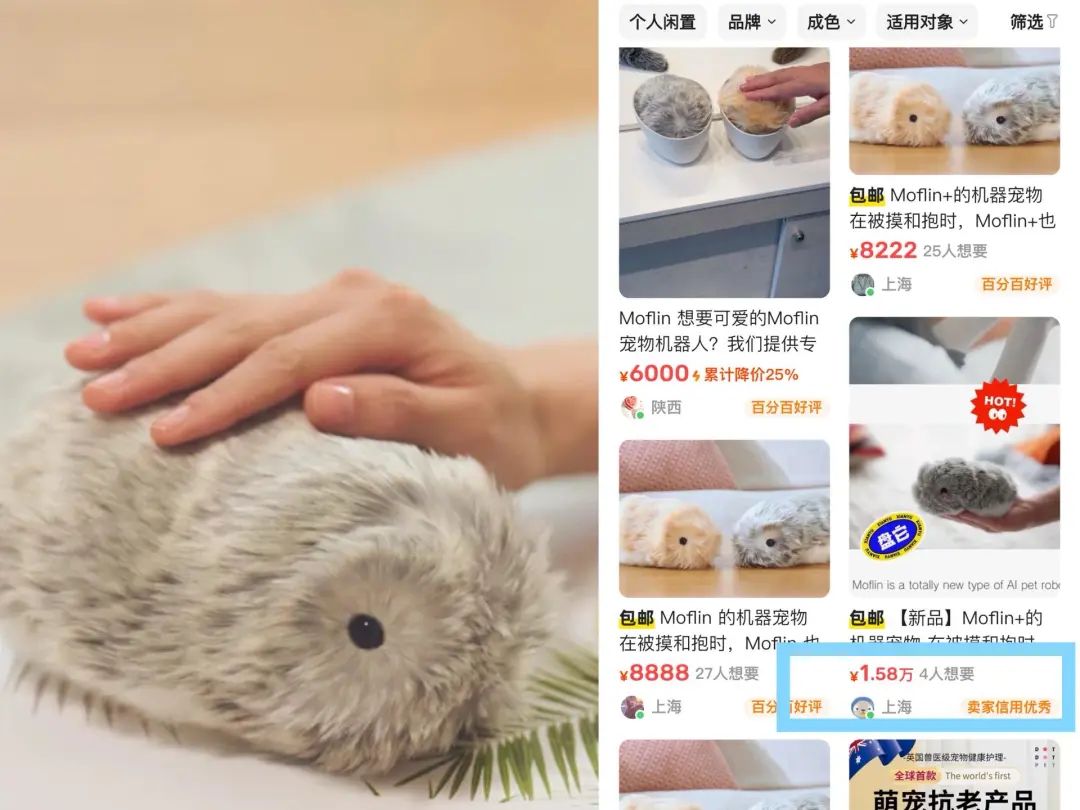让毛绒玩具“活”过来,“大厂前高管”创业,孵化下一个jelly cat