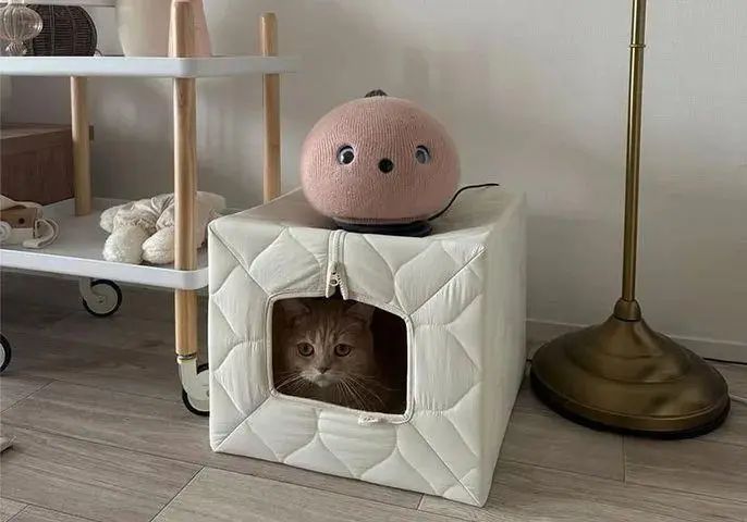 让毛绒玩具“活”过来,“大厂前高管”创业,孵化下一个jelly cat